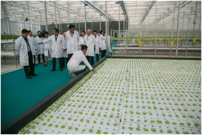 廣東省副省長鄧海光調研春沐源