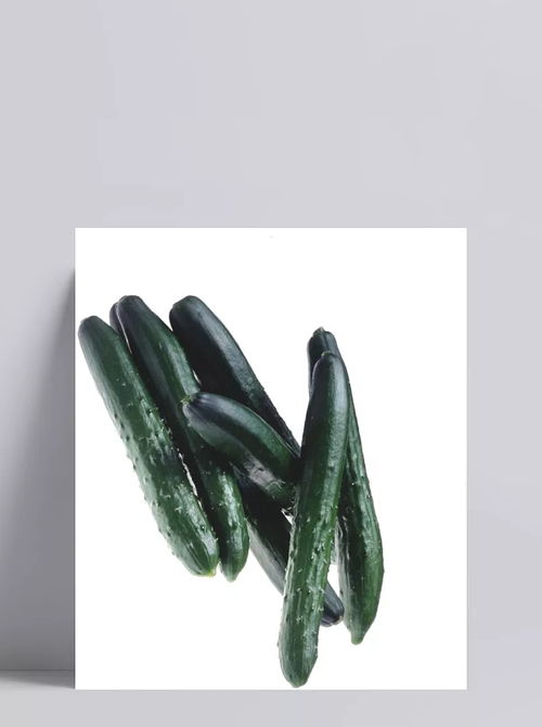 新鮮黃瓜食材 食材,食物,蔬菜,新鮮,瓜果,產品實物,設計元素 懨懨小生
