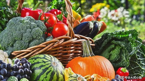 領鮮碼頭 打造一個社區(qū)化的生鮮超市