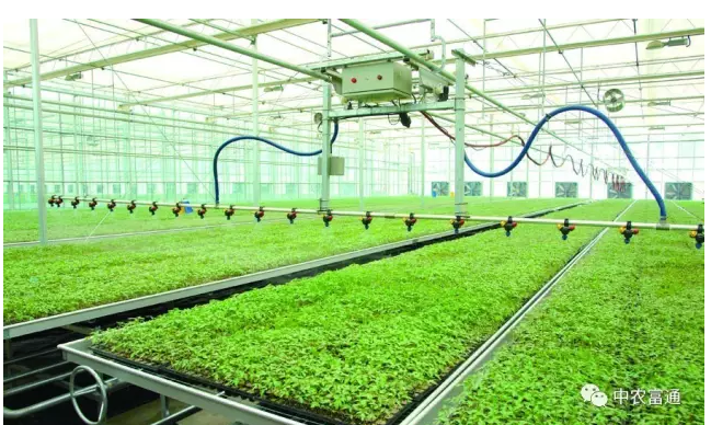 農業科技園區的一面旗幟--孫橋現代農業園區