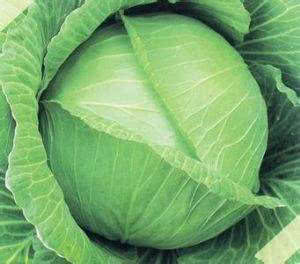 這菜是天然 血管清道夫 ,幾毛錢一大碗,每天吃點,人更年輕態