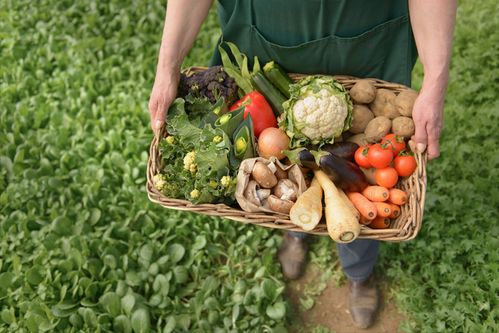 拿不出認(rèn)證被立案,難辨真假的高價有機農(nóng)產(chǎn)品,還能炒作多久