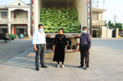 東臺市南沈灶鎮(zhèn):"金"豆豆鼓起群眾錢袋子