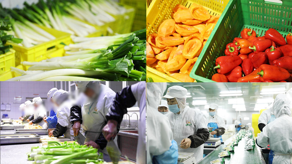 食品生產(chǎn)蔬菜加工