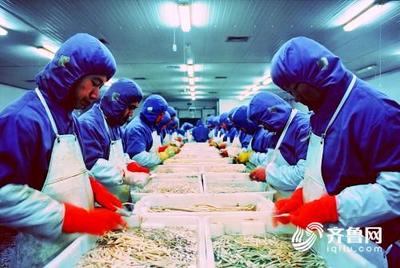 3年財(cái)政支持資金逾千萬(wàn) 壽光將這樣打造綠色農(nóng)業(yè)&ldquo;金字招牌&rdquo;