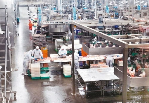 智慧工廠助力轉(zhuǎn)型升級(jí)