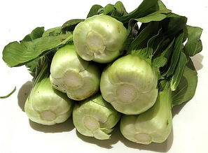 蔬菜 健康 食品圖片高清圖片免費(fèi)下載 jpg格式 編號15369042 千圖網(wǎng)