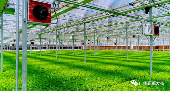 科技興農(nóng)①丨綠沃川:發(fā)展現(xiàn)代智慧農(nóng)業(yè) 帶動(dòng)農(nóng)民就業(yè)增收