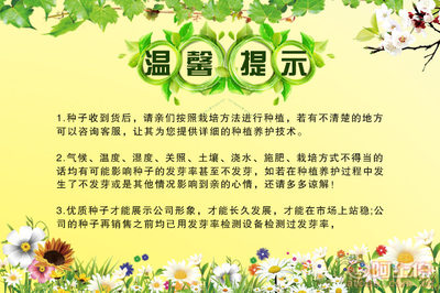 剪秋園藝廠家直銷蔬菜草籽 白豌豆與青豌豆，家庭陽臺(tái)種植的理想選擇