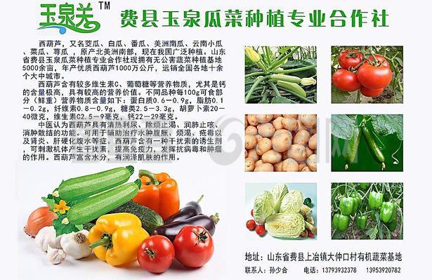 新鮮直達，品質承諾——綠色蔬菜產品宣傳與農副產品收購服務